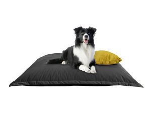 Puff para Mascotas 1 Metro Cama Velvet Phlox Puf Zenit Mascota
